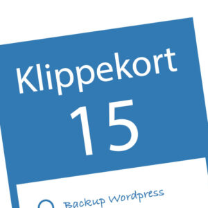 Klippekort 15 Hjælp til WordPress hjemmeside Vi ER konsulenter