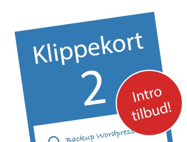 Klippekort 2 introtilbud Vi ER konsulenter - Få hjælp til WordPress hjemmeside